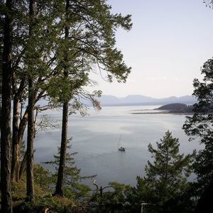 Meet your Posher, Elaine